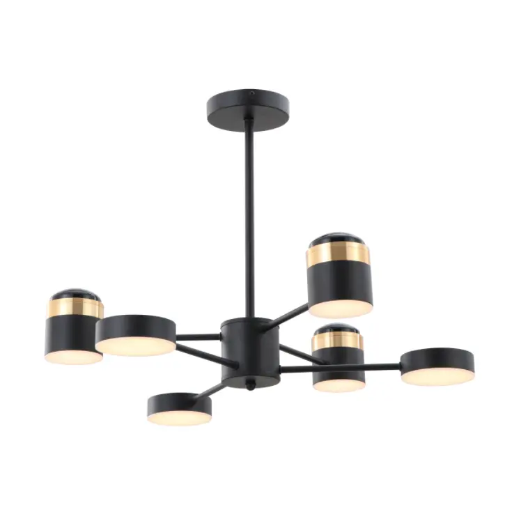 Matte Black High-Voltage LED 3000K Ceiling Lamp